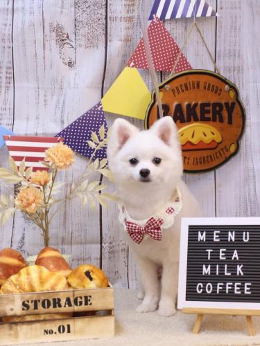 20240907たかなくん